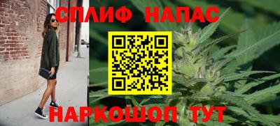 стафф Краснодар